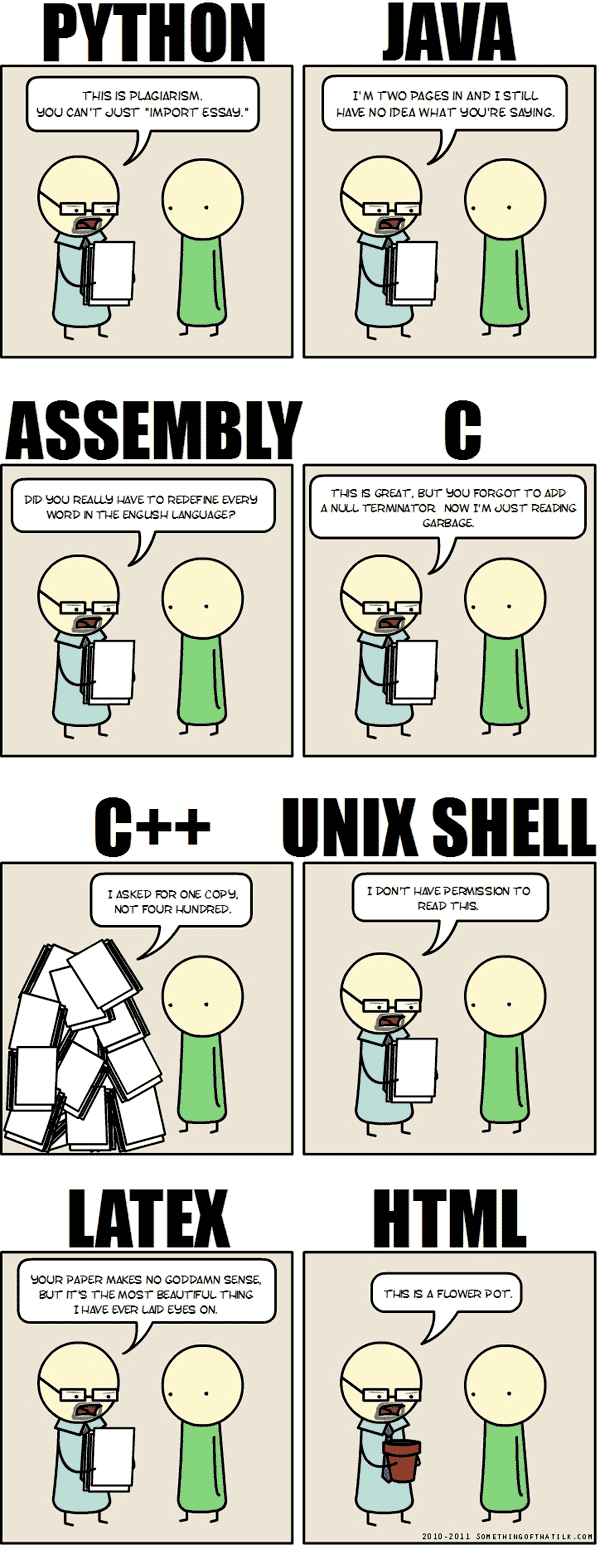 Writing an Essay in a Programming Language